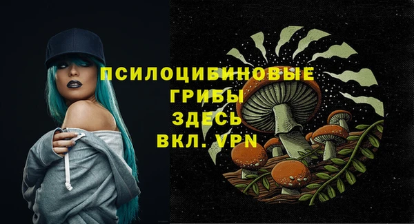 твердый Алзамай