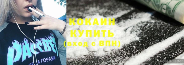 твердый Алзамай