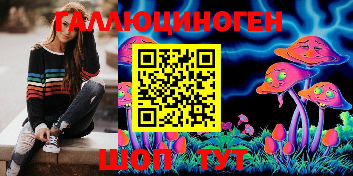 Зеленогорск  Псилоцибиновые грибы ЛСД  Вход с VPN 