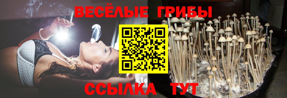 Псилоцибиновые грибы Magic Shrooms Зеленогорск